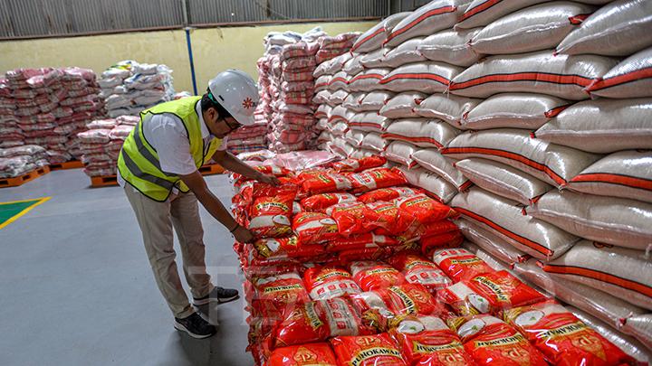 Stok Cadangan Beras Nasional 3,9 Juta Ton, Pemerintah Optimis
